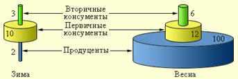 http://www.college.ru/biology/course/content/chapter12/section1/paragraph2/images/12010205.png